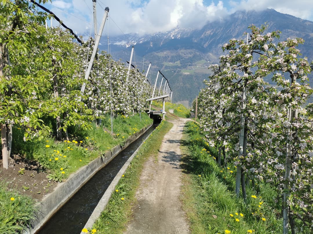 Lungo la Roggia di Marlengo