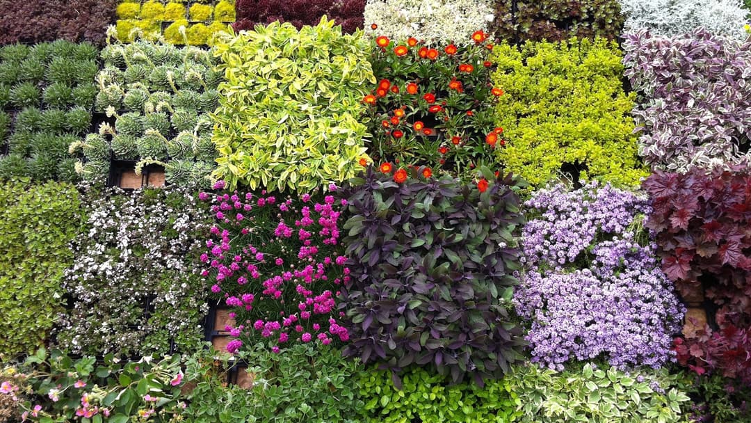 La festa dei fiori a Bolzano