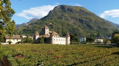 Château Mareccio